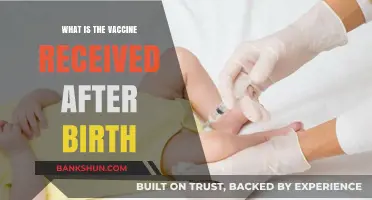 Newborn Vaccination: Understanding the First Vaccine After Birth