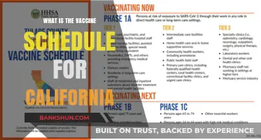 California's Vaccine Schedule: A Comprehensive Guide for All Ages