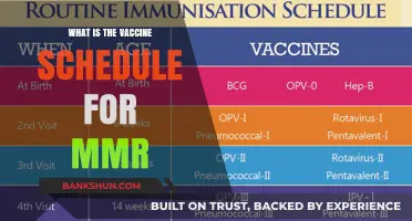 Understanding the MMR Vaccine Schedule: A Comprehensive Guide for Parents