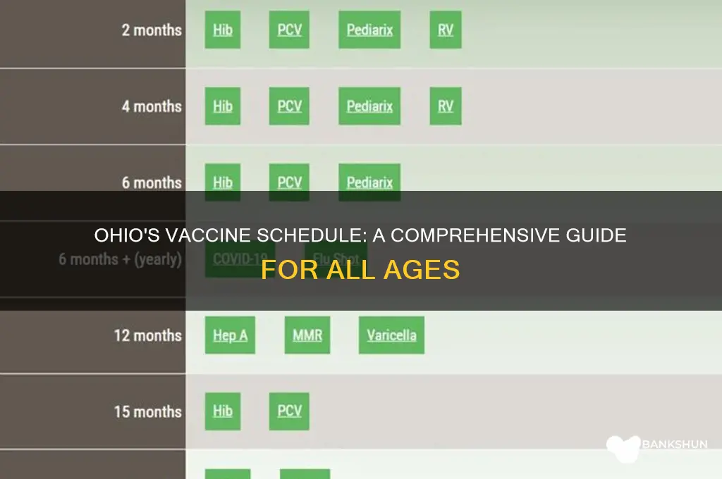 what is the vaccine schedule for ohio