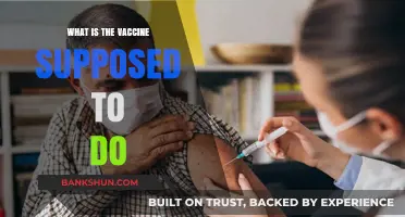 Understanding Vaccines: Their Purpose, Function, and Impact on Health