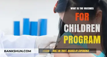Understanding the Vaccines for Children Program: A Comprehensive Guide
