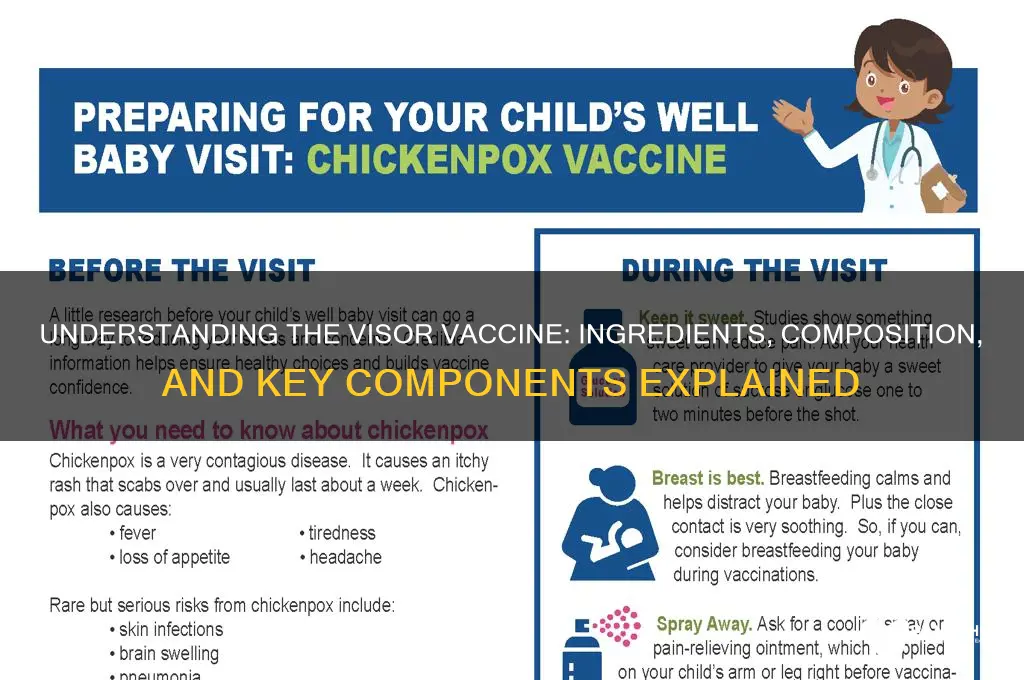 what is the visor vaccine made of