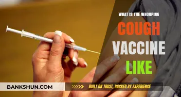 Understanding the Whooping Cough Vaccine: What to Expect and Why It Matters