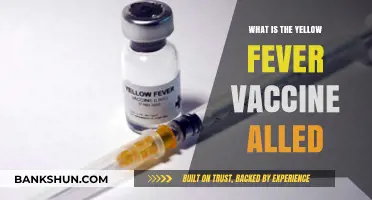 Understanding Yellow Fever: Vaccine Name, Purpose, and Importance Explained