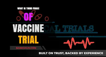 Understanding the Crucial Third Phase of Vaccine Clinical Trials