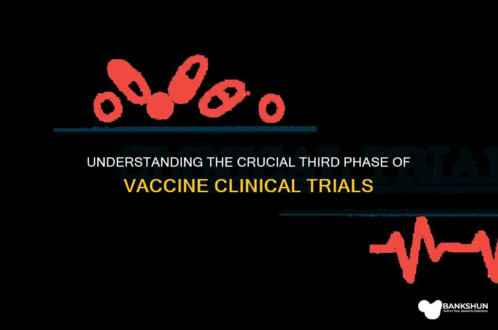 what is third phase of vaccine trial