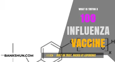 Triton X-100 in Influenza Vaccines: Role, Mechanism, and Safety Explained