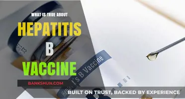 Hepatitis B Vaccine: Facts, Benefits, and Common Misconceptions Explained