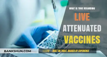 Live Attenuated Vaccines: Understanding Their Safety, Efficacy, and Mechanism