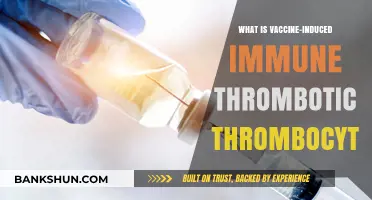 Understanding Vaccine-Induced Immune Thrombotic Thrombocytopenia: Causes and Risks