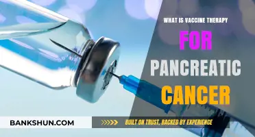 Vaccine Therapy: A New Hope for Pancreatic Cancer Treatment