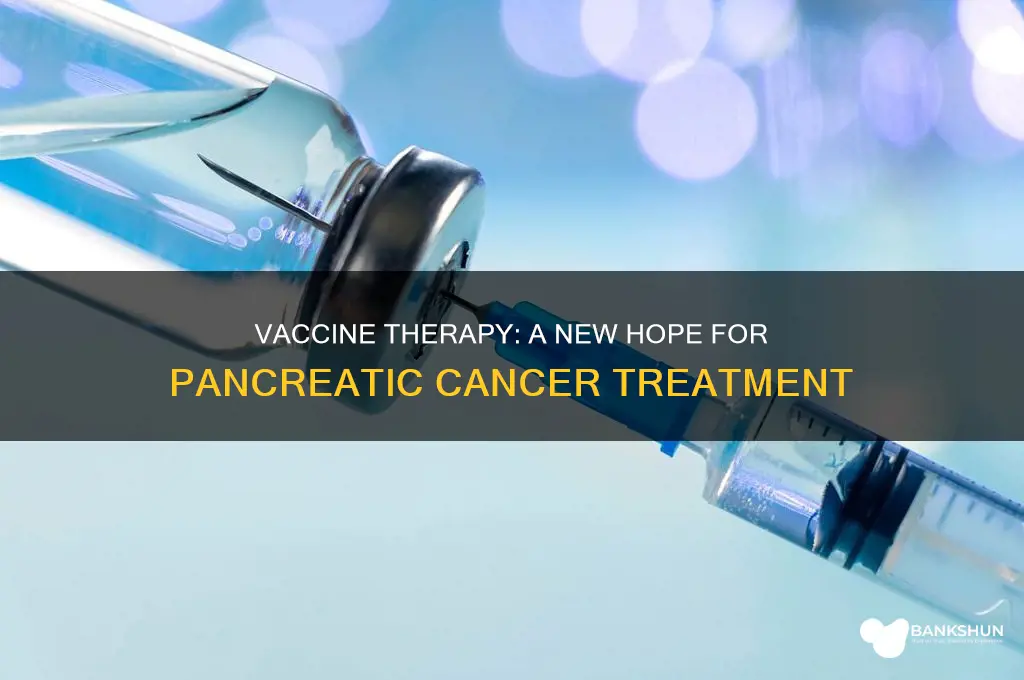 what is vaccine therapy for pancreatic cancer