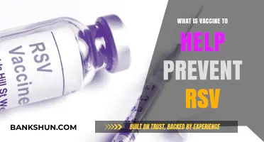 Understanding RSV Vaccines: Prevention and Protection for All Ages