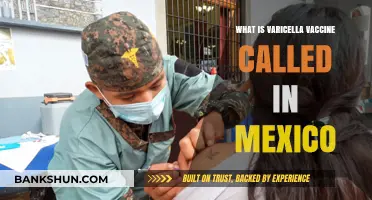 Varicella Vaccine in Mexico: Understanding Its Local Name and Importance