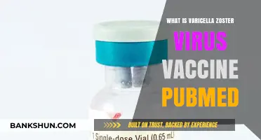 Varicella Zoster Virus Vaccine: PubMed Insights and Immunization Benefits