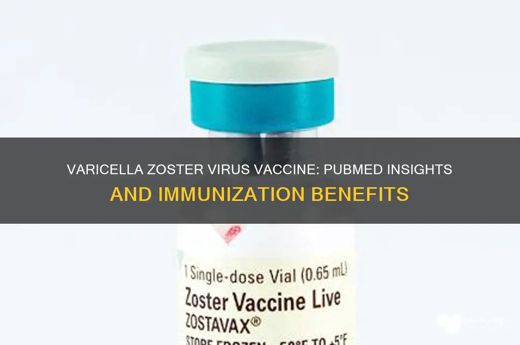 what is varicella zoster virus vaccine pubmed