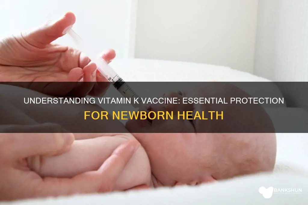 what is vitamin k vaccine for newborn