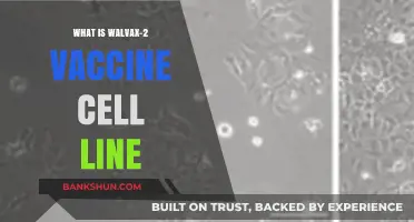 Understanding the Walvax-2 Vaccine Cell Line: Development and Applications