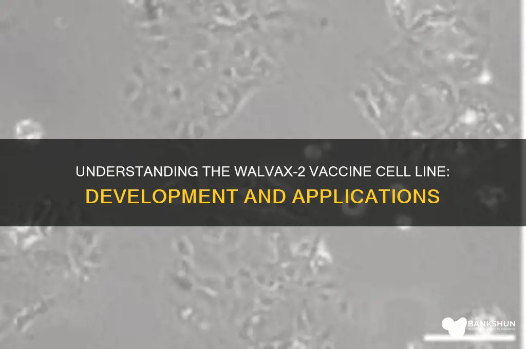 what is walvax-2 vaccine cell line