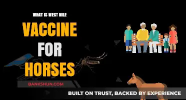 Understanding the West Nile Vaccine for Horses: Importance and Benefits