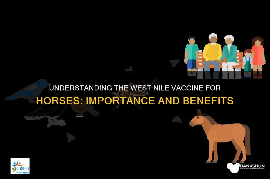 what is west nile vaccine for horses