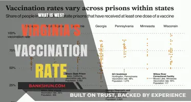 West Virginia's Vaccination Rate: Current Stats and Trends Explained