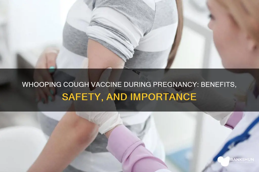 what is whooping cough vaccine during pregnancy