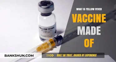 Understanding Yellow Fever Vaccine Composition: Key Ingredients Explained