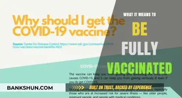 Understanding Full Vaccination: What It Truly Means to Be Protected