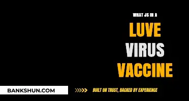Understanding Live Virus Vaccines: Components, Benefits, and Safety Explained
