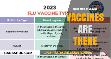 Exploring the Different Types of COVID-19 Vaccines Available Worldwide