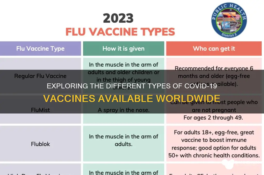 what kind of corona vaccines are there