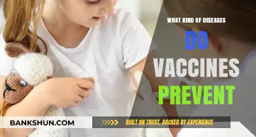 Vaccines Prevent Deadly Diseases: A Comprehensive Guide to Immunization