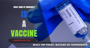 Understanding Vaccines: How They Boost Immunity Against Diseases