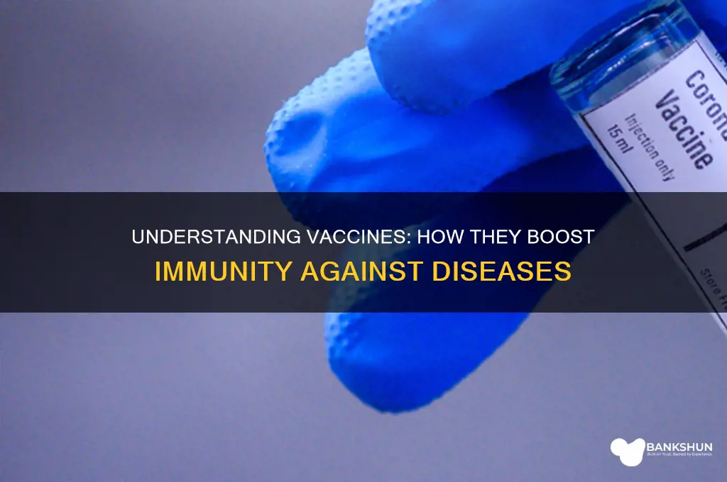 what kind of immuniti is a vaccine