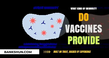 Understanding Vaccine-Induced Immunity: Types, Duration, and Protection Mechanisms