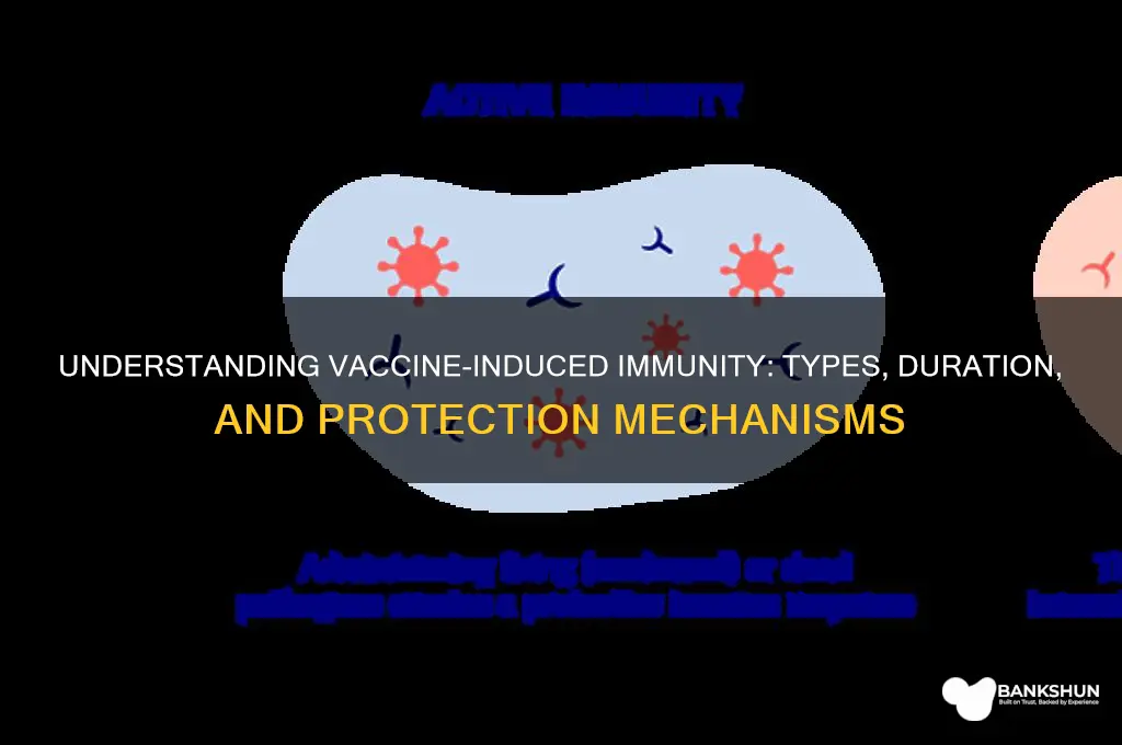 what kind of immunity do vaccines provide