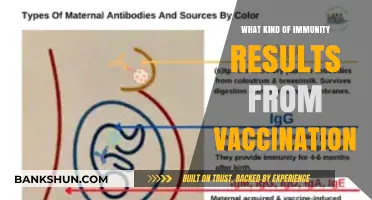 Vaccination-Induced Immunity: Understanding Types, Mechanisms, and Long-Term Protection