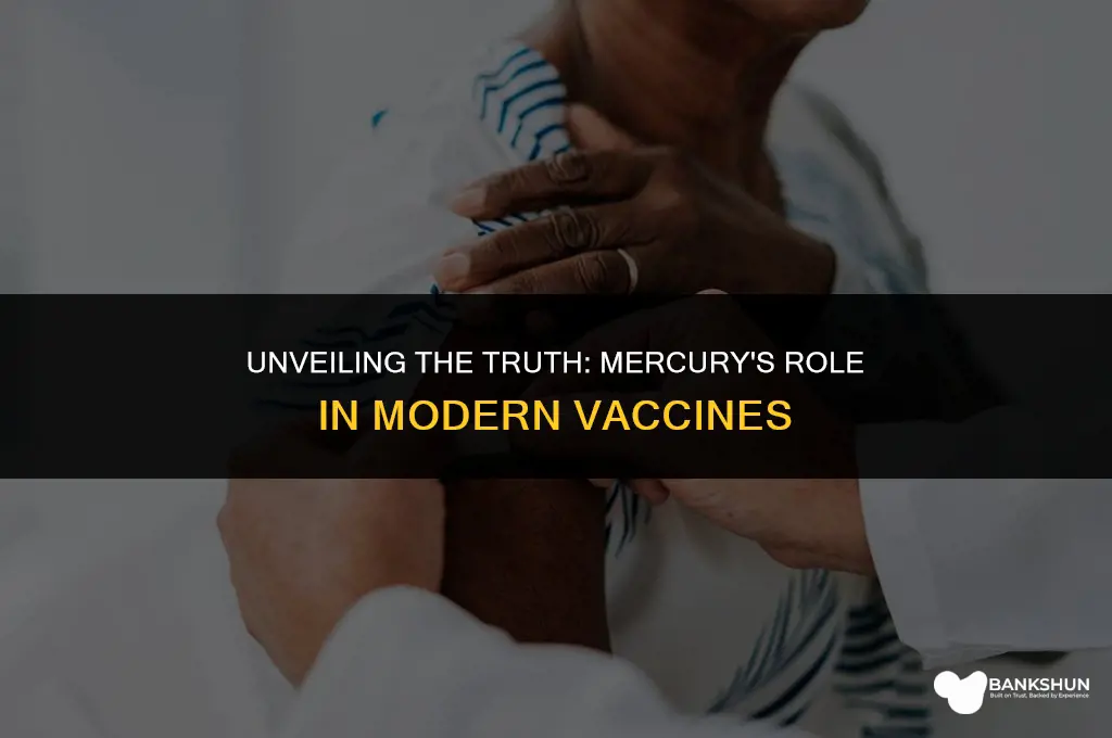 what kind of mercury is in vaccines