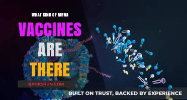Exploring the Different Types of mRNA Vaccines Available