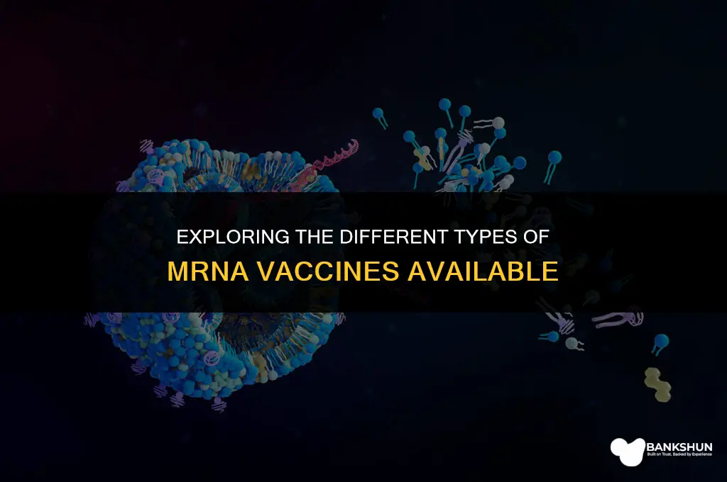 what kind of mrna vaccines are there