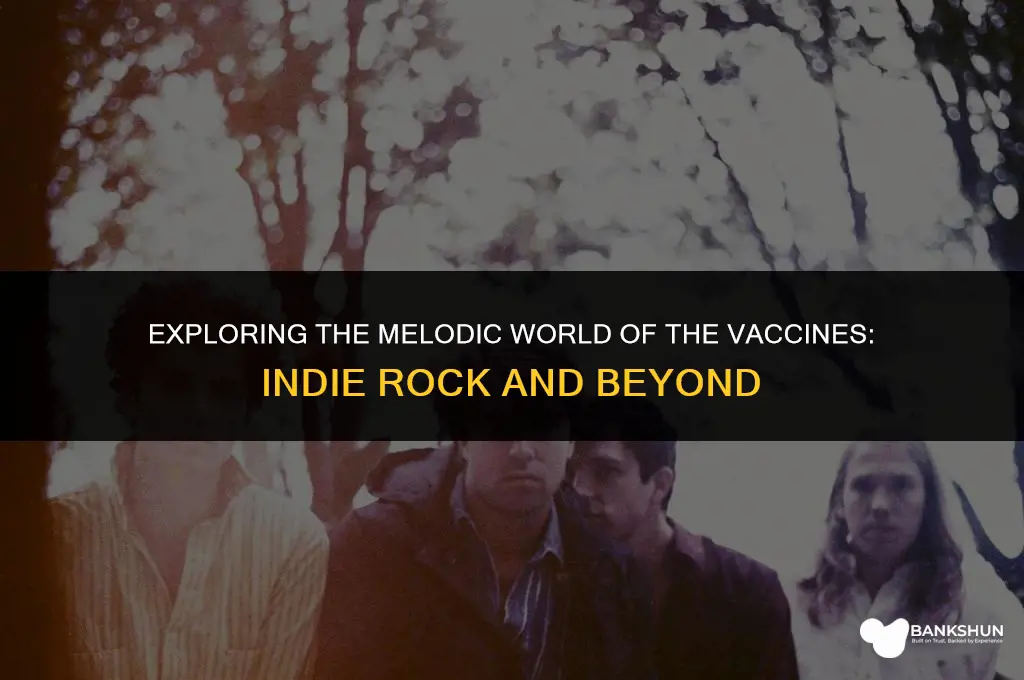 what kind of music is the vaccines