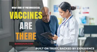 Exploring the Different Types of Pneumococcal Vaccines Available
