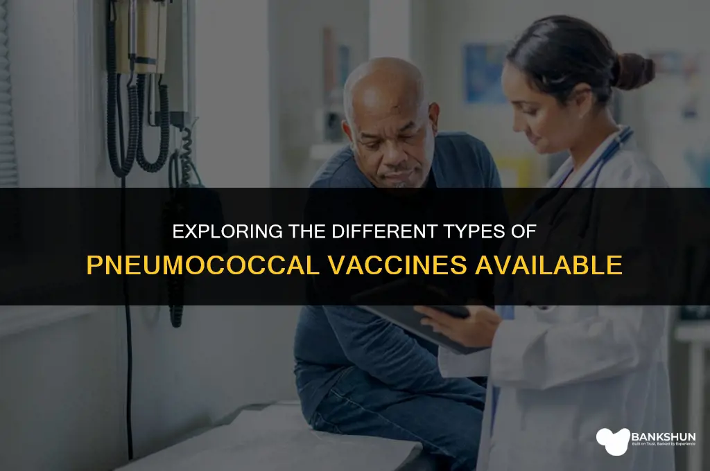 what kind of pneumococcal vaccines are there