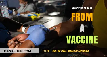 Understanding Vaccine Scars: A Guide to Common Side Effects