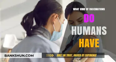 Exploring the Essential Vaccinations for Human Health and Wellness