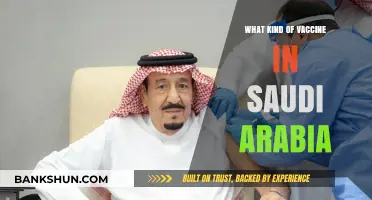 Exploring Vaccine Options in Saudi Arabia: A Comprehensive Guide