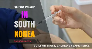 Exploring South Korea's Vaccine Options: A Comprehensive Guide