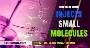 Exploring the Science Behind Small Molecule Vaccine Injections